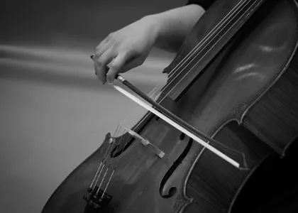Orchestral Strings at Hartwell & Sons