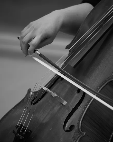 Violin, Viola & Cello at Hartwell & Sons
